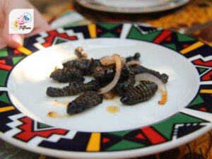 Zambian Snacks Dried Mopane Worms