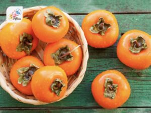 Persimmon