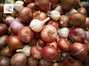 Allium Vegetable