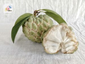 Annona