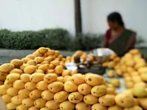 Banganapalle Mango