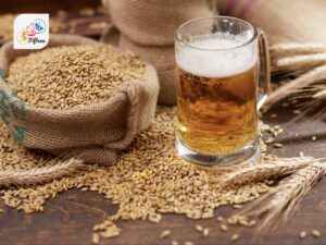 Beer Barley