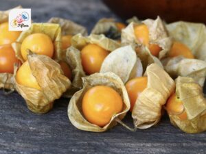 Cape Gooseberry