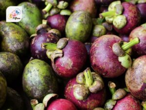 Mangosteen