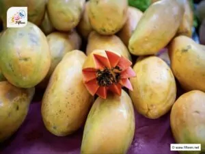 Central American Fruits