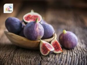 Fig