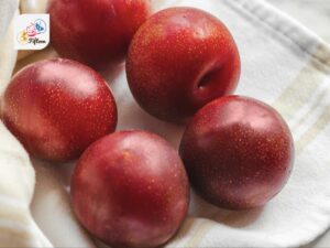 Plumcot