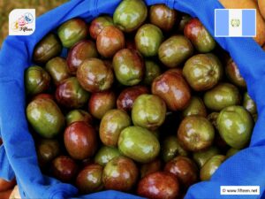 Guatemalan Fruits