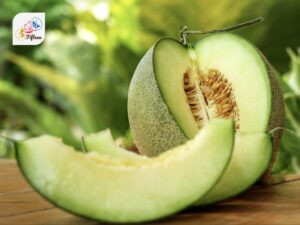 Honeydew Melon