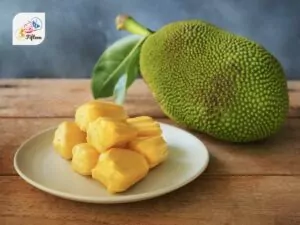 Jackfruit