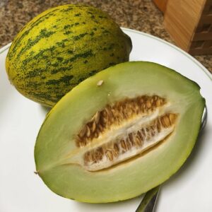 Lambkin Melon