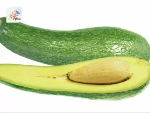 Long Neck Avocado