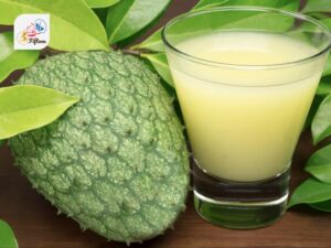 Mountain Soursop