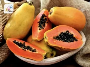 Papaya