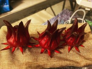 Roselle Fruit