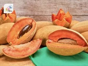 Mamey Sapote