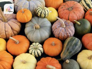 Squashes Gourds