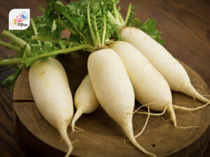 White Radish