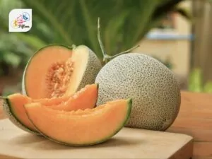 Cantaloupe